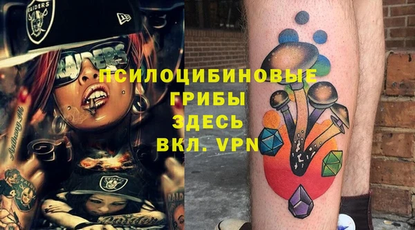 твердый Балахна