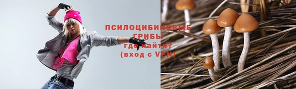 твердый Балахна